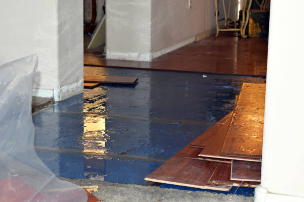 Professional Water Damage Restoration technician working in Jay, ME
